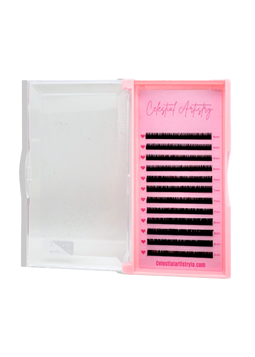 D Curl Lash Trays